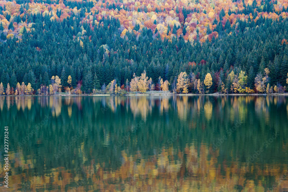 Fototapeta premium Beautiful unique vulcanic lake at autumn, ( Lake Saint Ana) deciduous colorful woods mixed with pine woods reflecting on the crystal clean water in Transylvania , Romania.