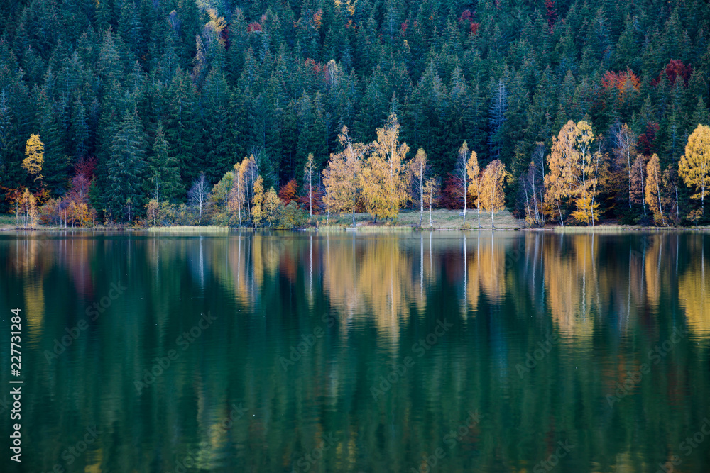 Fototapeta premium Beautiful unique vulcanic lake at autumn, ( Lake Saint Ana) deciduous colorful woods mixed with pine woods reflecting on the crystal clean water in Transylvania , Romania.