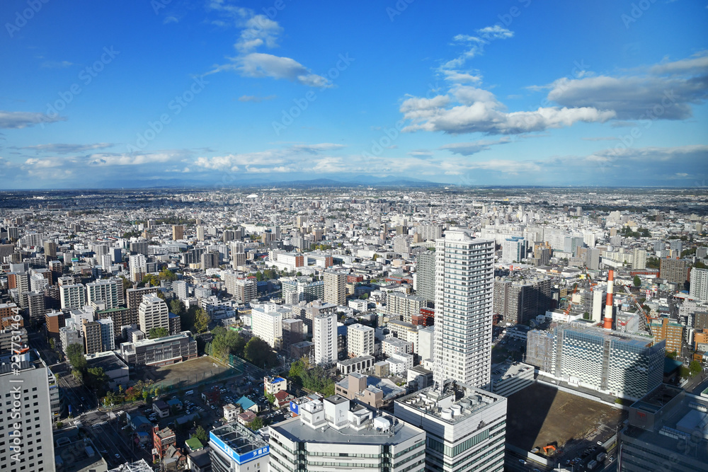 Fototapeta premium 札幌の街並み 