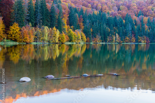 Beautiful unique vulcanic lake at autumn, ( Lake Saint Ana) deciduous colorful woods mixed with pine woods reflecting on the crystal clean water in Transylvania , Romania.