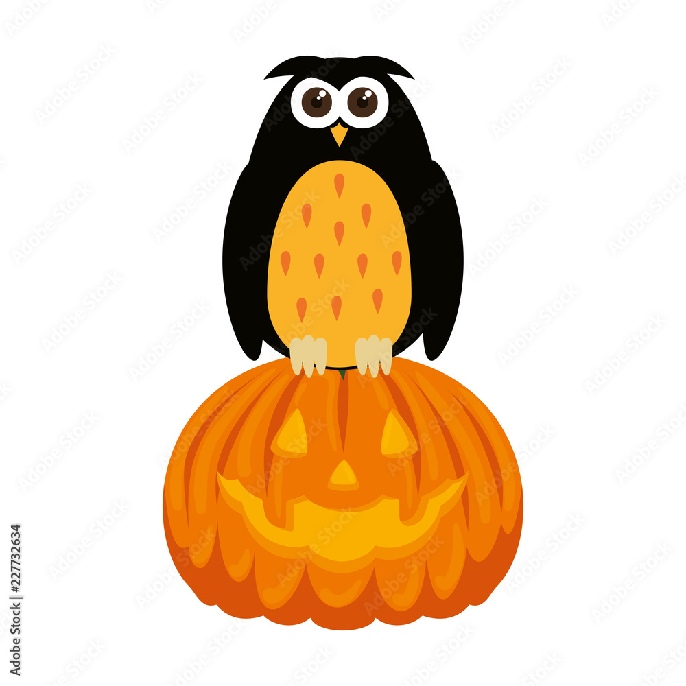 happy halloween pumpkin with owl happy halloween pumpkin with owl