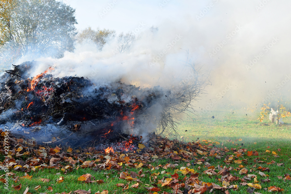 Fototapeta premium Campfire flame and smoke with burning dry grass and leaves in autumn day with copy space. Seasonal garden work and backyard cleaning concept.