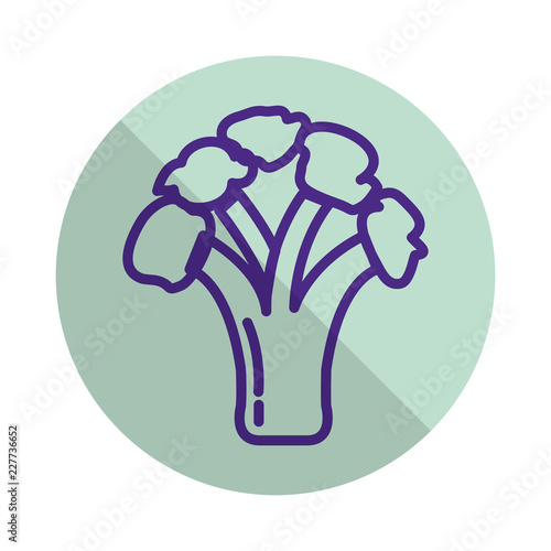 fresh broccoli vegetable icon