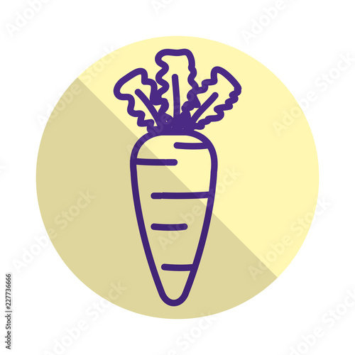 fresh carrot vegetable icon