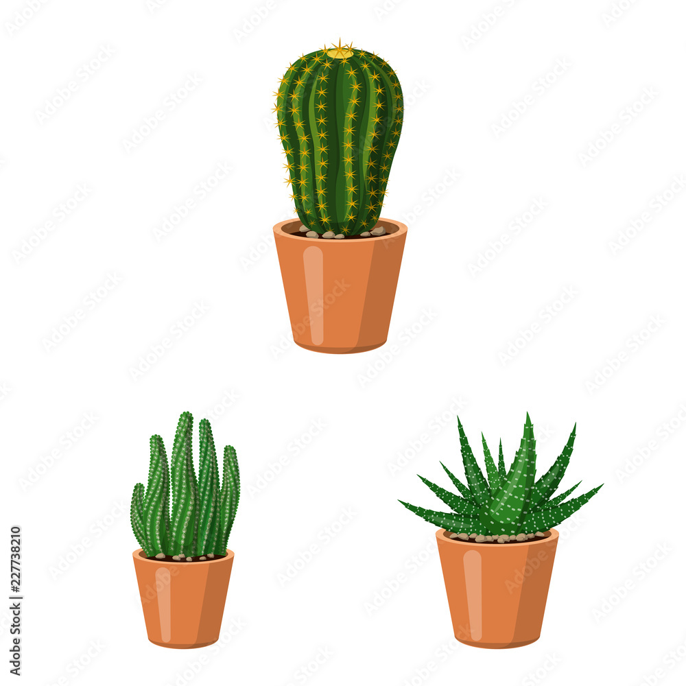 Isolated object of cactus and pot icon. Set of cactus and cacti stock vector illustration. Isolated object of cactus and pot icon. Set of cactus and cacti stock vector illustration.