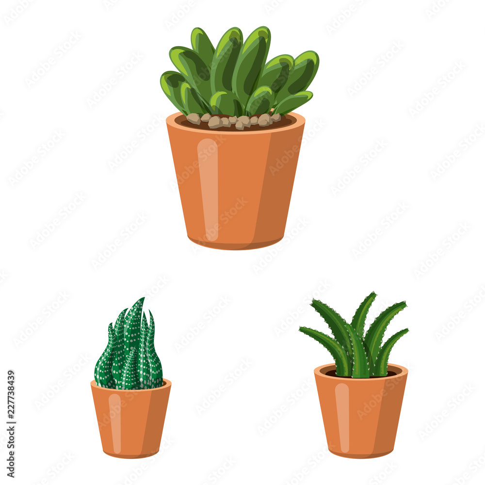 Vector illustration of cactus and pot icon. Collection of cactus and cacti vector icon for stock. Vector illustration of cactus and pot icon. Collection of cactus and cacti vector icon for stock.