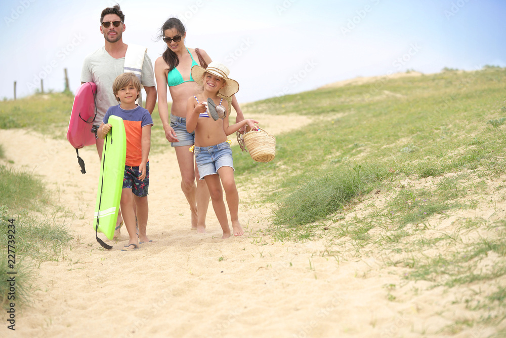 Family walking to the beach, sand dune path Family walking to the beach, sand dune path