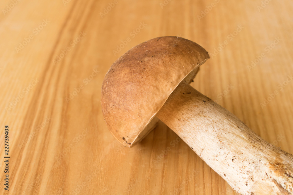 Boletus on a wooden table . Autumn. Mushroom picking Boletus on a wooden table . Autumn. Mushroom picking