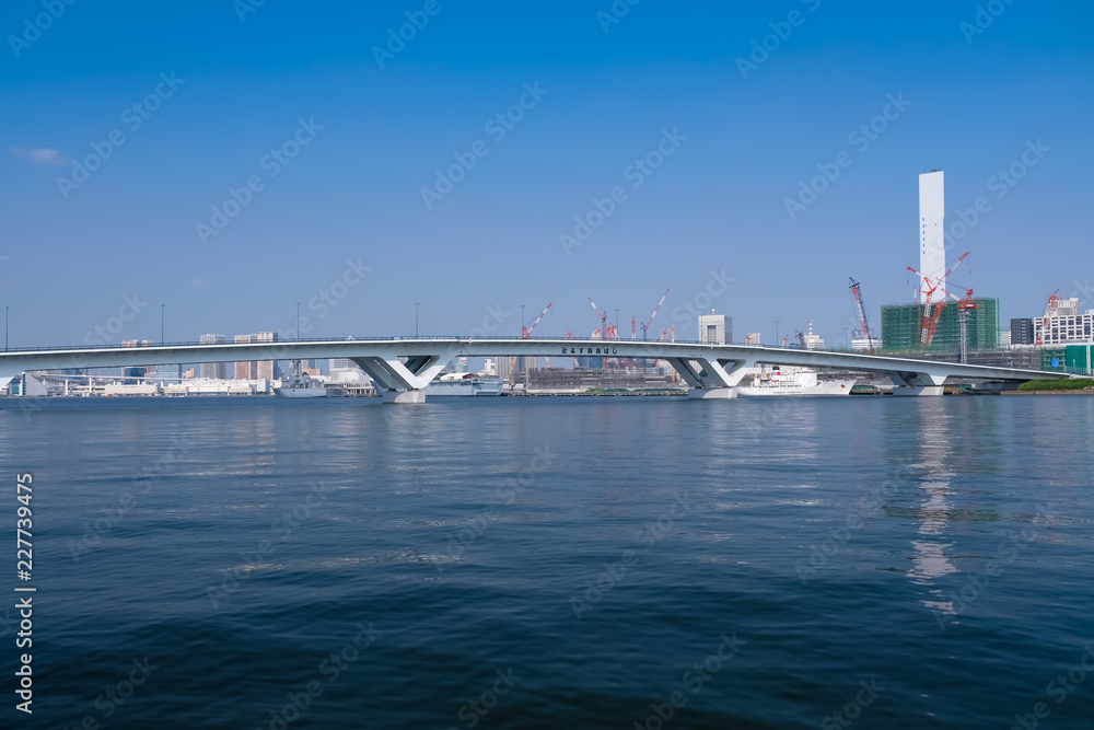 東京 海沿い 豊洲大橋