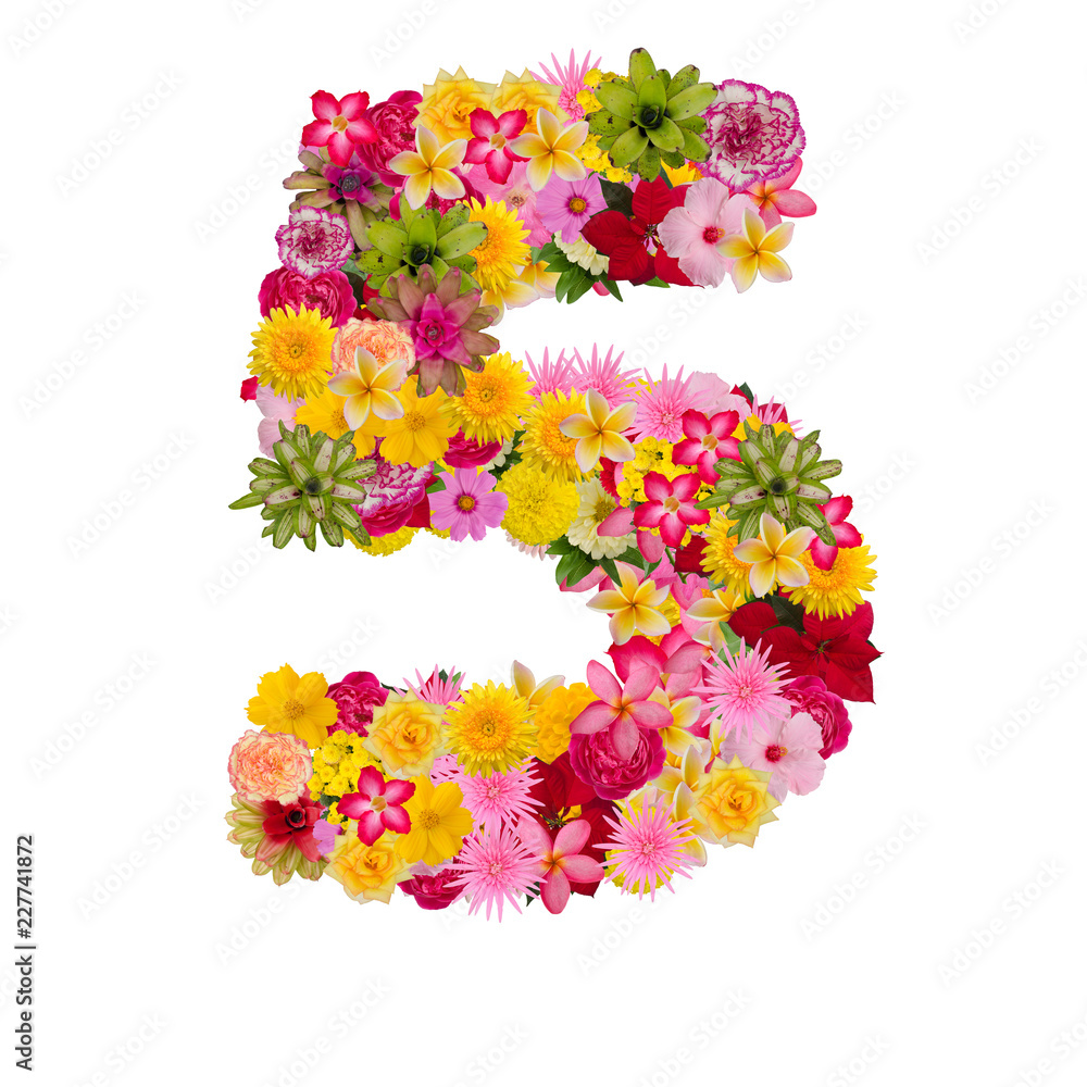 Number 5 made from flower isolated on white background. Whit clipping path Number 5 made from flower isolated on white background. Whit clipping path