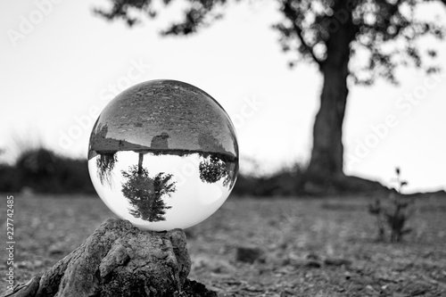 boule de cristal