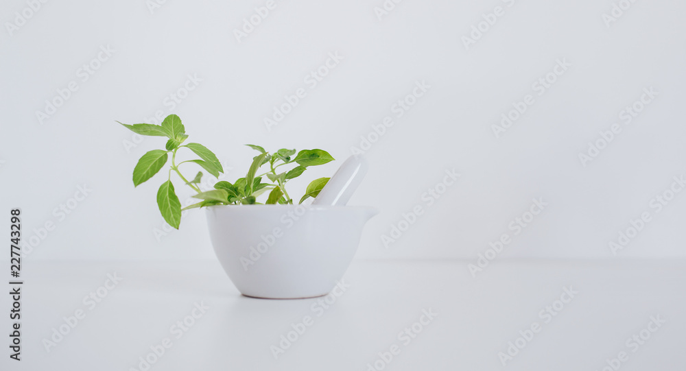 Pestle/mortar with medical herbs, copy space Pestle/mortar with medical herbs, copy space