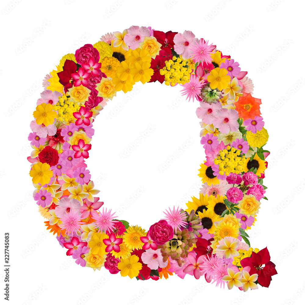 Letter Q alphabet with flower ABC concept type as logo isolated on white  background. With clipping path Stock Photo