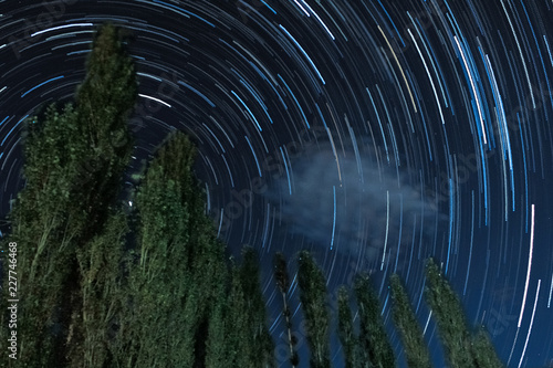 star trails in the forest on a clear night