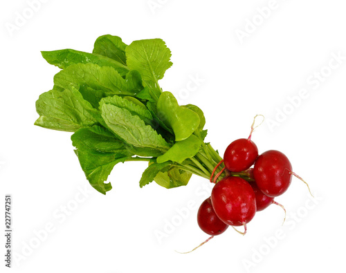 Red radish isolated on white background. photo