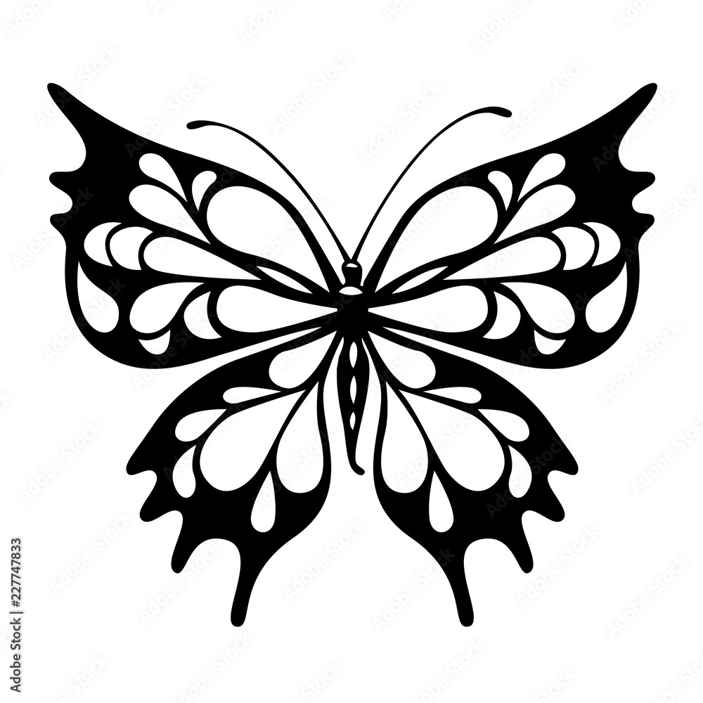 Silhoette of beautiful butterfly Silhoette of beautiful butterfly