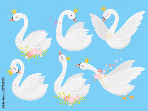 Cute princess swan. Beautiful white swans in gold crown, cartoon goose bird and duckling vector illustration set