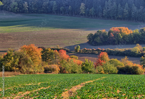 Herbst in Franken