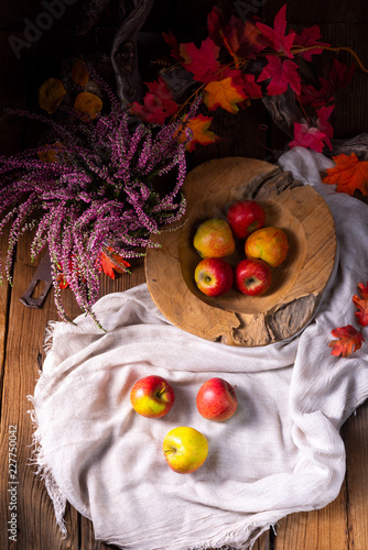 Malus sylvestris, the tasty European crab apple, photo