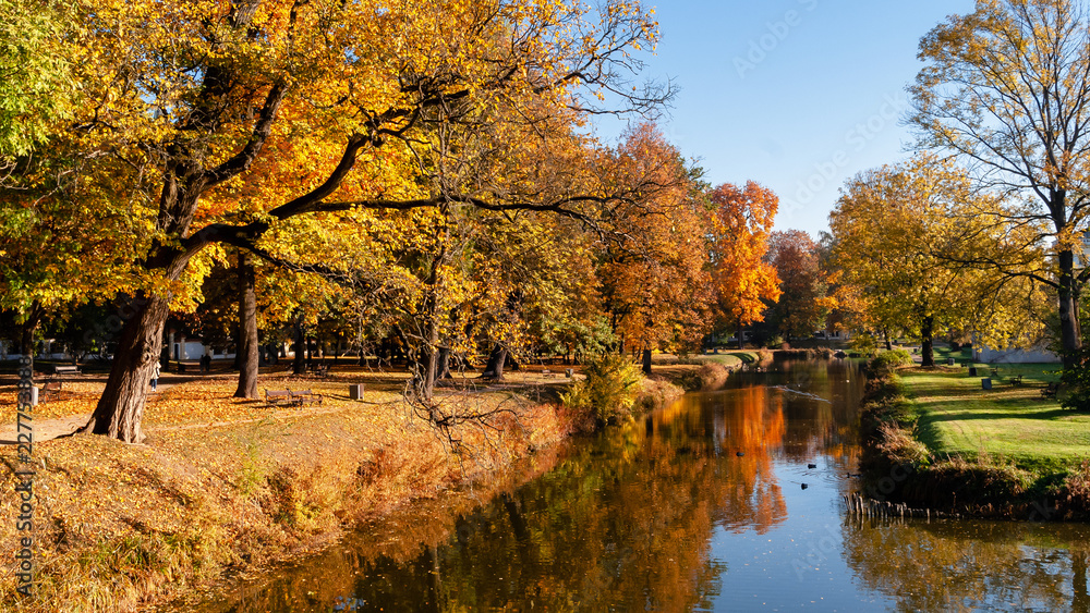 Jesień w parku Branickich, Polska, Podlasie, Białystok