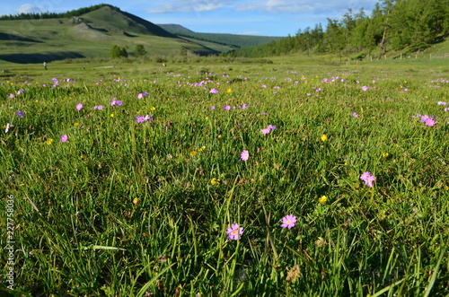 Foto mongolia 6