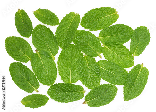 Mint leaves on a white top view