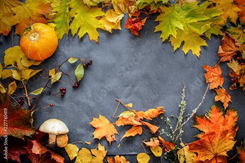 Autumn still life of leaves on the eve of Halloween.