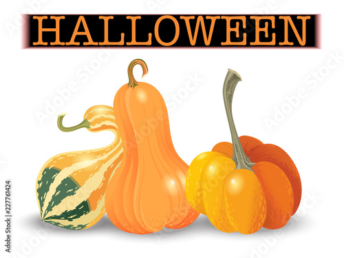 Halloween pumpkin set. Different shapes and sizes orange gourds isolated on white background. Vector illustration.