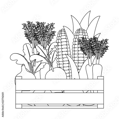 black silhouette of wooden box with vegetables