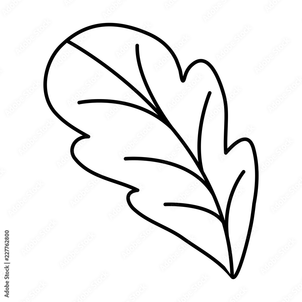 black silhouette of leaf front view of beet black silhouette of leaf front view of beet