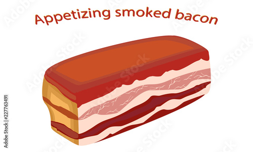 Bacon in realistic style isolated on white background. Vector illustration of bacon.