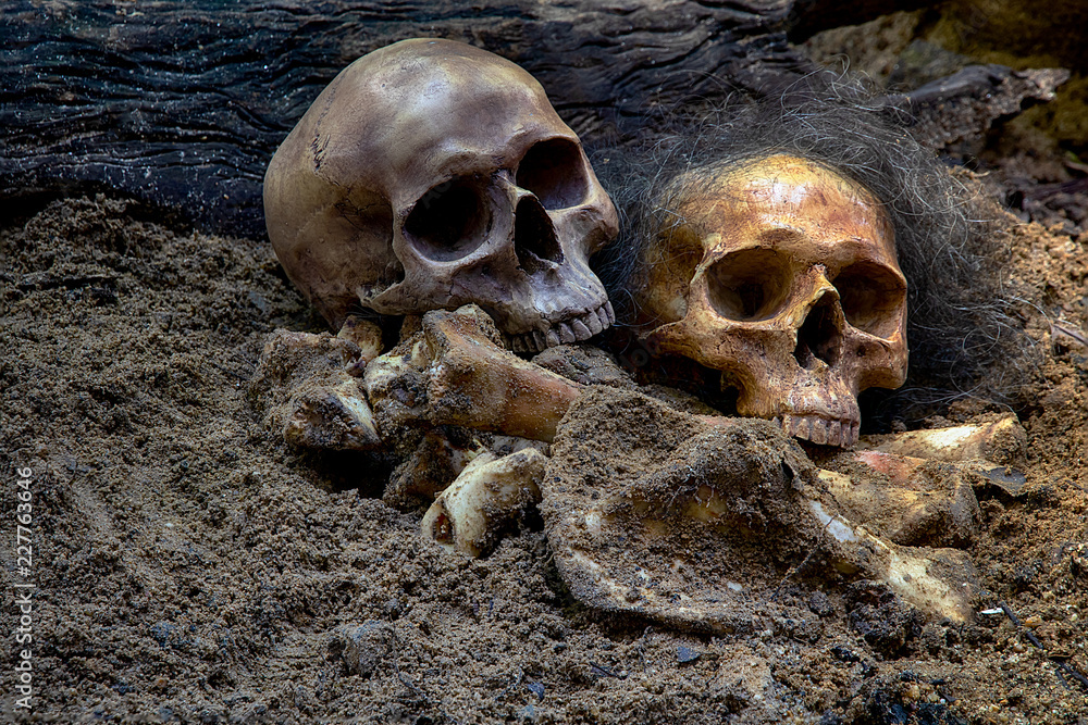 Still life style ;Skulls of bones with candle at night on back background.Halloween day