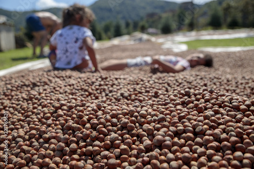 farmer's children inside the hazelhuts