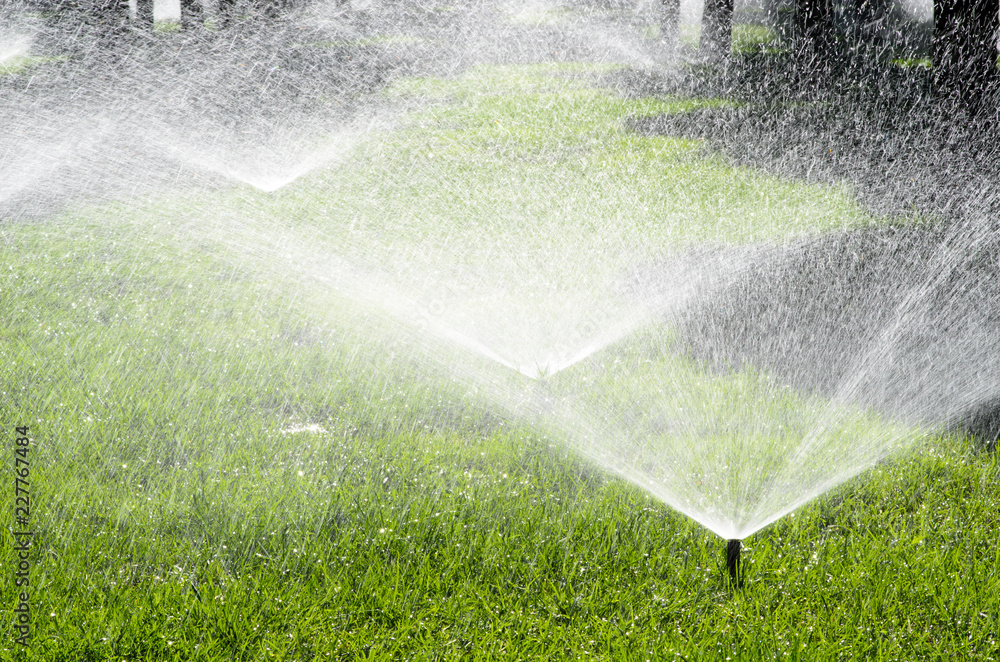 Water sprinkler irrigation - obrazy, fototapety, plakaty 
