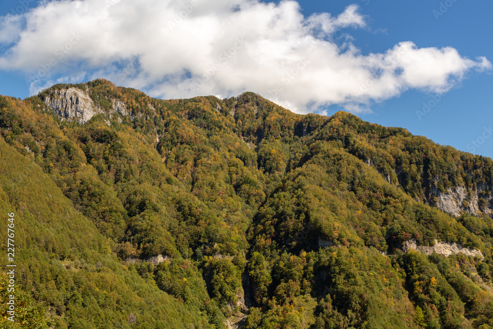 南アルプス鳥倉山紅葉