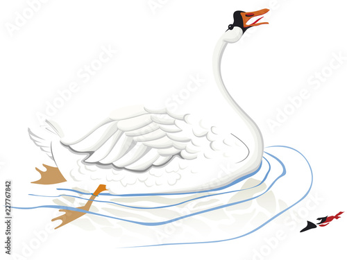Cygne blanc voguant sur l'eau