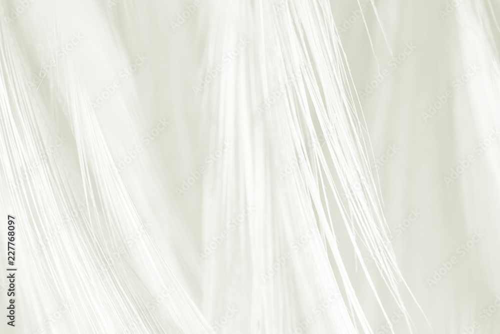 Beautiful white feather pattern texture background Beautiful white feather pattern texture background
