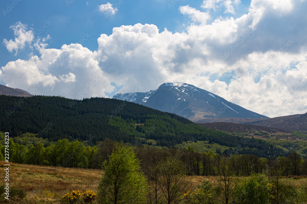 Fototapeta premium Ben Nevis_ Scotland