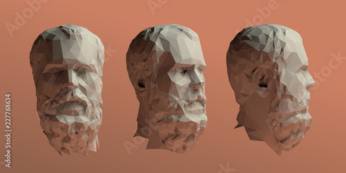 Socrates Head Vector 3D Rendering photo