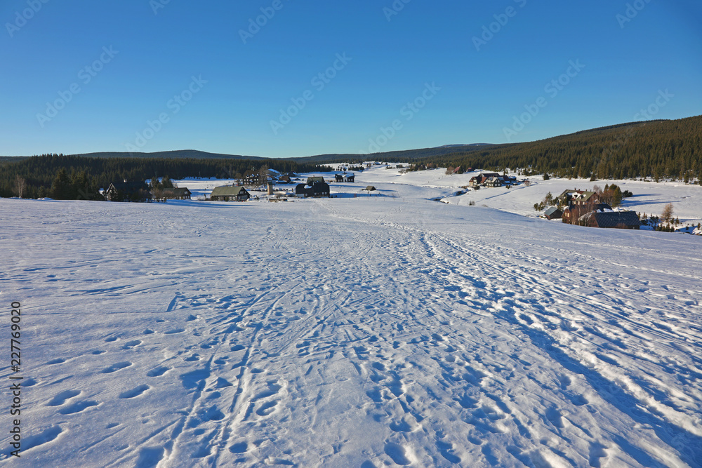 winter landscape