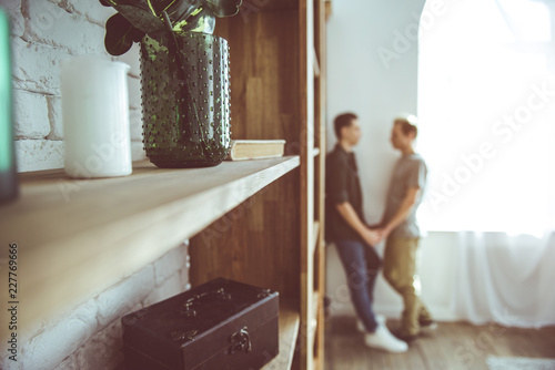 Close up of wooden shelves with houseplant in vase, book and box. Gay couple holding hands while standing near window