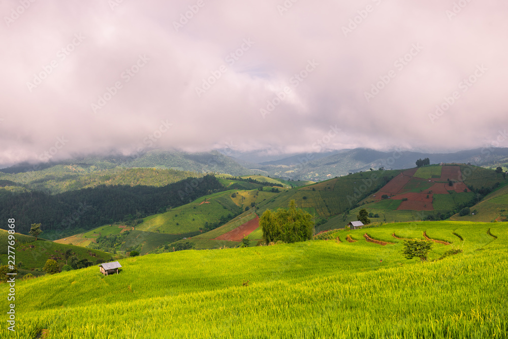 Small house and rice terraces field at pabongpaing village rice terraces Mae-Jam Chiang mai, Thailand