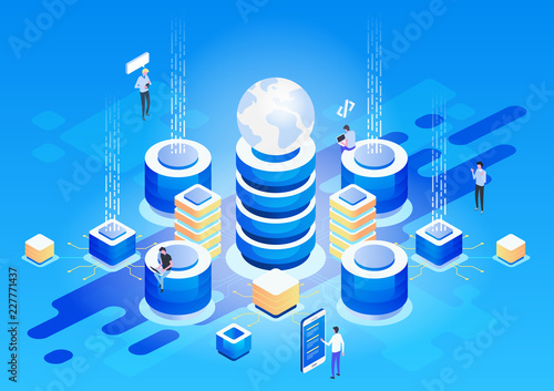 Concept of data network management .Vector isometric