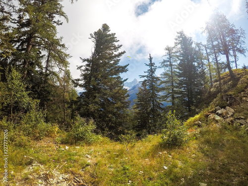 Wonderful landscapes of France Chamonix