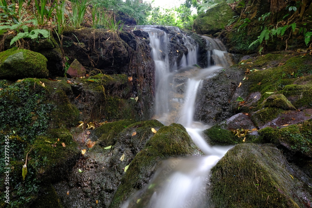 Obraz premium waterfall in forest