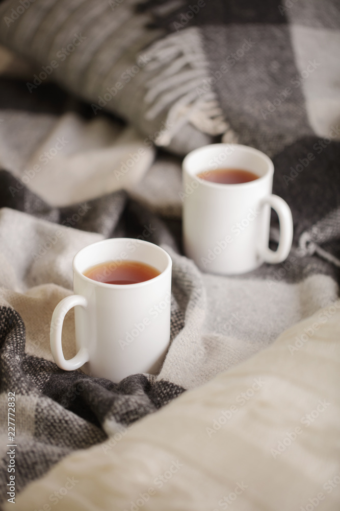 Home comfort and warmth in the autumn time. Gray plaid, knitted pillows, tea and autumn red maple leaves. Home comfort and warmth in the autumn time. Gray plaid, knitted pillows, tea and autumn red maple leaves.