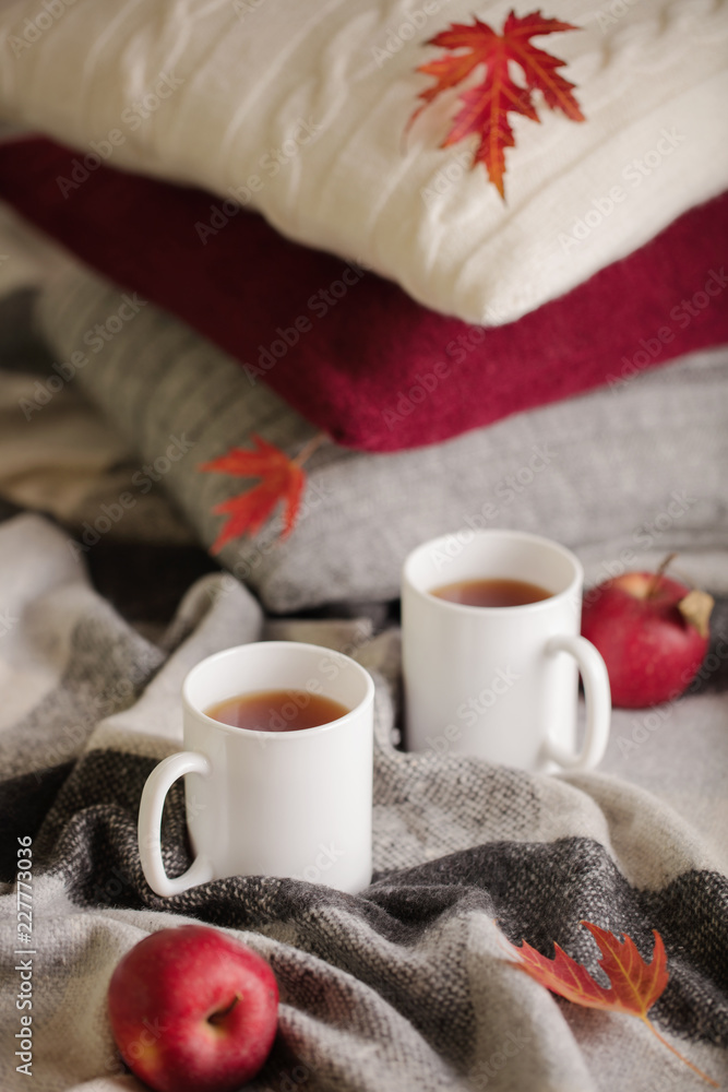 Home comfort and warmth in the autumn time. Gray plaid, knitted pillows, tea and autumn red maple leaves. Home comfort and warmth in the autumn time. Gray plaid, knitted pillows, tea and autumn red maple leaves.