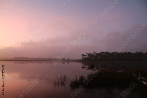 Nature pond landscape with sunrise morning mist beautiful background