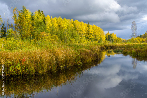 Golden autumn forest and clouds in the water