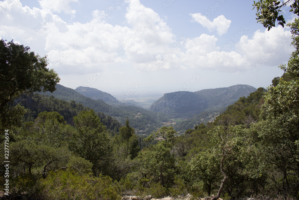 Obraz premium Port de Sóller